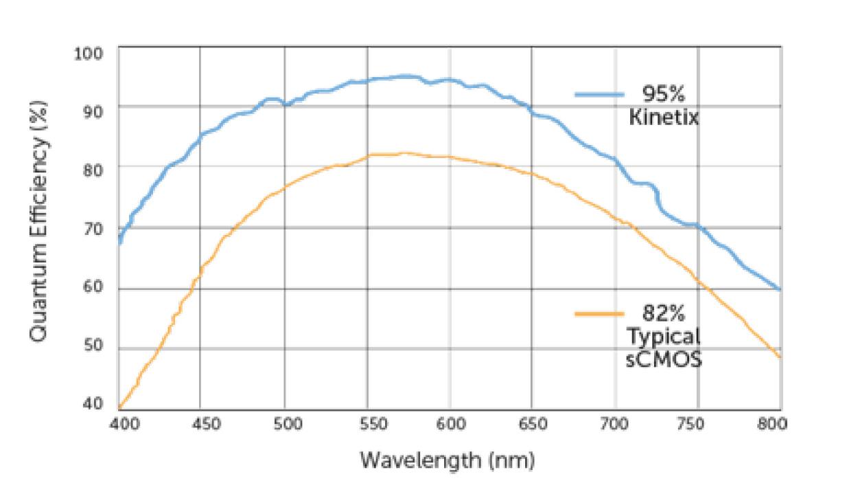 Kinetix Qe.jpg